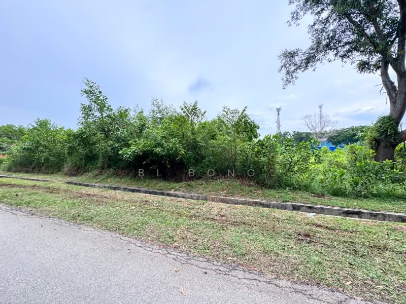 Industrial Land for Sale in Telok Mas (Melaka) - BL Bong - PropertyGuru.com.my