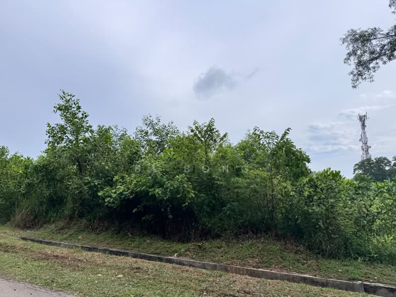 Industrial Land for Sale in Telok Mas (Melaka) - BL Bong - PropertyGuru.com.my
