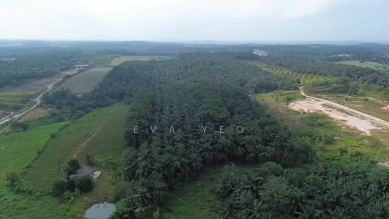 Agricultural Land for Sale in Senai (Johor) - Eva Yeo - Exterior - PropertyGuru.com.my