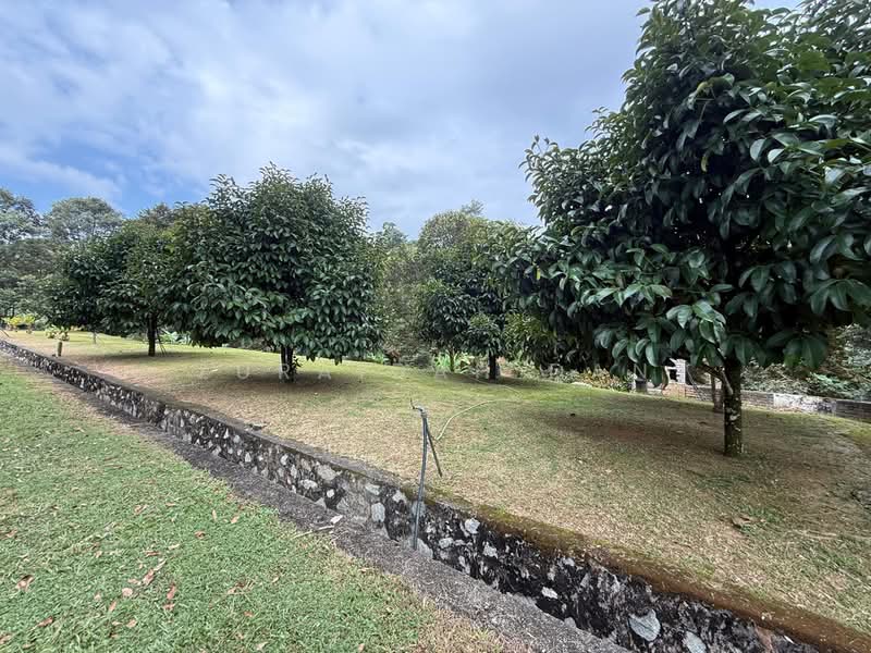 Tanah Kediaman untuk Dijual di Pajam (Mantin) - Zuraidah Dan - PropertyGuru.com.my