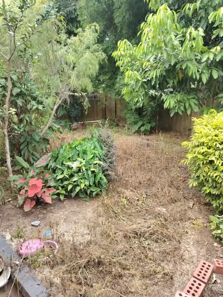 Semi-Detached House for Sale in Lunas (Kedah) - Hasrul Rosli - Garden - PropertyGuru.com.my