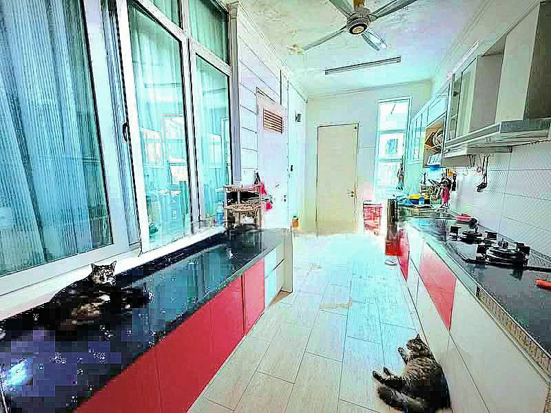 Rumah Berkembar untuk Dijual di Taman Tun Dr Ismail (Kuala Lumpur) - Jeniffer Lim - PropertyGuru.com.my