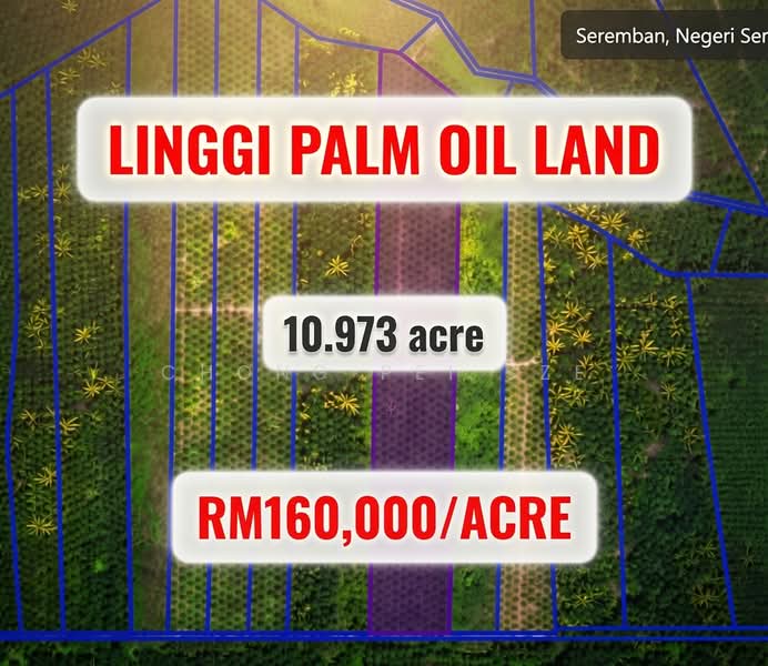 Agricultural Land for Sale in Linggi (Negeri Sembilan) - Chong Pei Sze - PropertyGuru.com.my