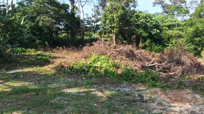 Agricultural Land for Sale in Lenggeng (Negeri Sembilan) - Halim HP - Exterior - PropertyGuru.com.my