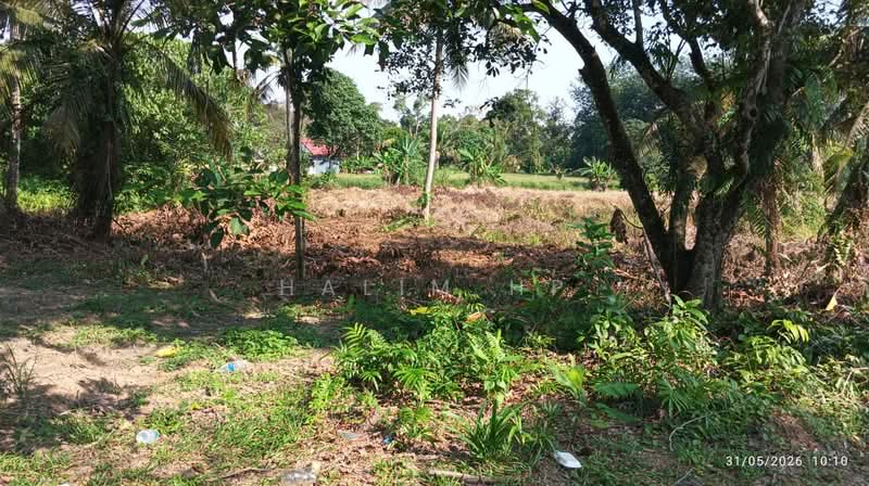 Agricultural Land for Sale in Lenggeng (Negeri Sembilan) - Halim HP - Exterior - PropertyGuru.com.my