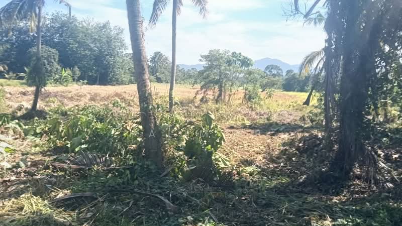 Agricultural Land for Sale in Lenggeng (Negeri Sembilan) - Halim HP - Exterior - PropertyGuru.com.my