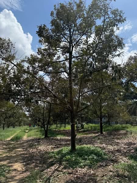 Agricultural Land for Sale in Taman Desa Cemerlang (Ulu Tiram) - Kelly Wai - Exterior - PropertyGuru.com.my