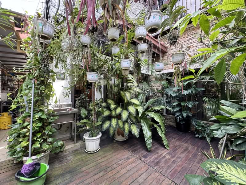 2-storey Terraced House for Sale in Seksyen 13 (Shah Alam) - Mohd Fadzli - Garden - PropertyGuru.com.my