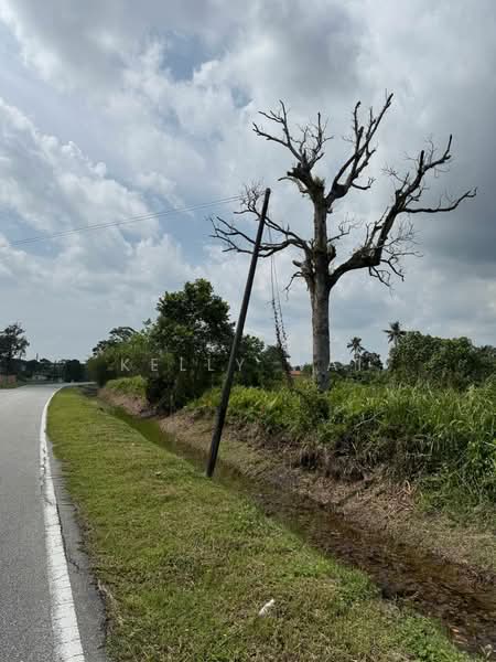 Industrial Land for Sale in Kampung Tanjung Kupang (Gelang Patah) - Kelly Wai - Exterior - PropertyGuru.com.my