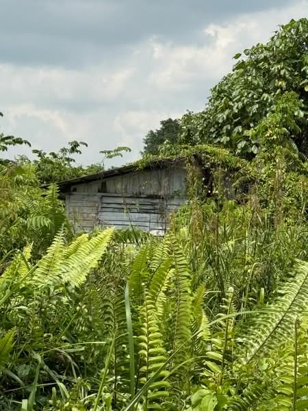 Industrial Land for Sale in Kampung Tanjung Kupang (Gelang Patah) - Kelly Wai - Exterior - PropertyGuru.com.my