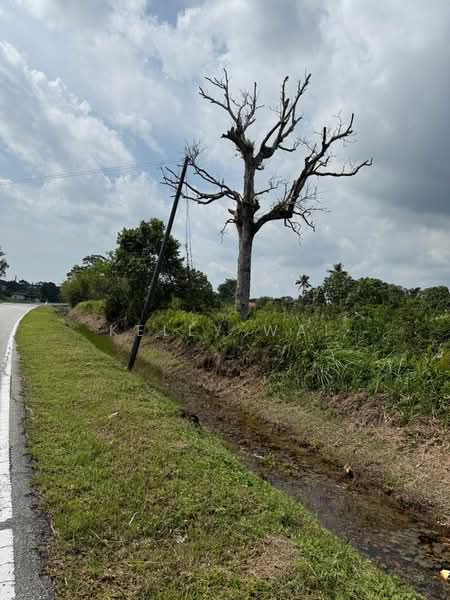 Industrial Land for Sale in Kampung Tanjung Kupang (Gelang Patah) - Kelly Wai - PropertyGuru.com.my