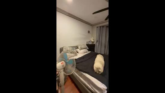 2-storey Terraced House for Rent in Seksyen 8 (Kota Damansara) - Carlos Ng - PropertyGuru.com.my