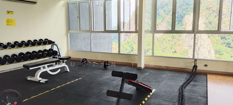 Servis Apartment untuk Disewa di Amara - Justin Tiau - Gym - PropertyGuru.com.my