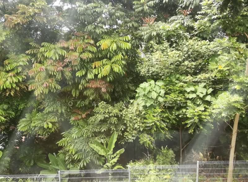 2-storey Terraced House for Rent in Taman SA (Bangsar) - Rosaline Law - PropertyGuru.com.my