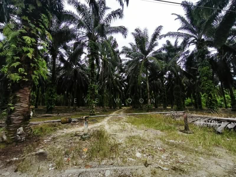 Residential Land for Sale in Gelang Patah (Johor) - Eve Woon - Exterior - PropertyGuru.com.my