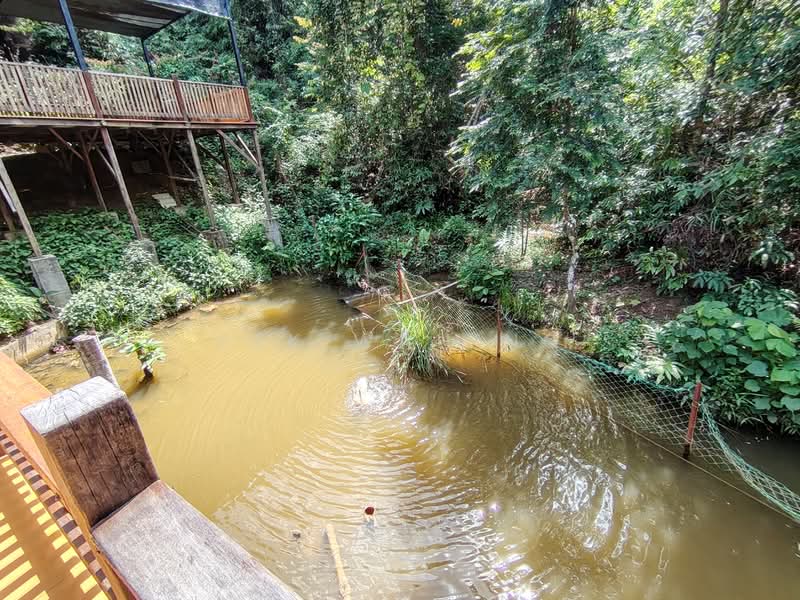 Commercial Land for Sale in Rasa (Selangor) - Amanda Ng - PropertyGuru.com.my
