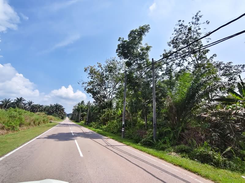 Tanah Pertanian untuk Dijual di Kluang (Johor) - Victor Lim - PropertyGuru.com.my