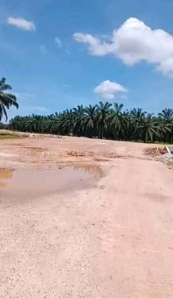 Tanah Pertanian untuk Dijual di Batu Pahat (Johor) - Yee Choi Hong - Exterior - PropertyGuru.com.my