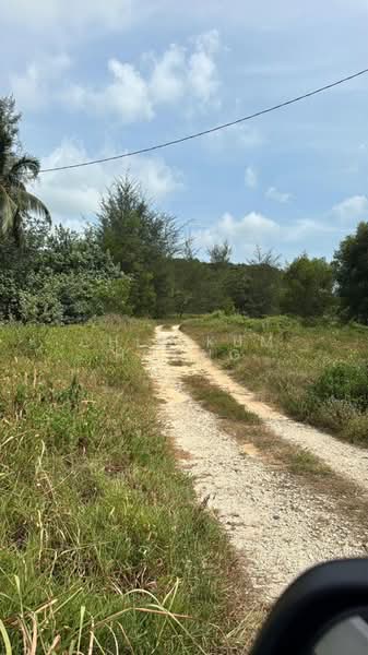 Agricultural Land for Sale in Sungai Karang (Pahang) - CHIA KUM HOONG - PropertyGuru.com.my