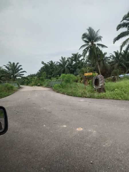 Agricultural Land for Sale in Pekan Nenas (Johor) - Jessie Tan - Exterior - PropertyGuru.com.my
