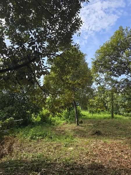 Tanah Pertanian untuk Dijual di Kuala Kangsar (Perak) - Cherie Chong - PropertyGuru.com.my