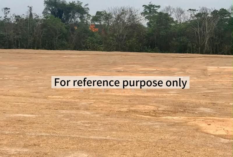 Industrial Land for Sale in Pelabuhan Tanjung Pelepas (Gelang Patah) - Ace Tan - PropertyGuru.com.my