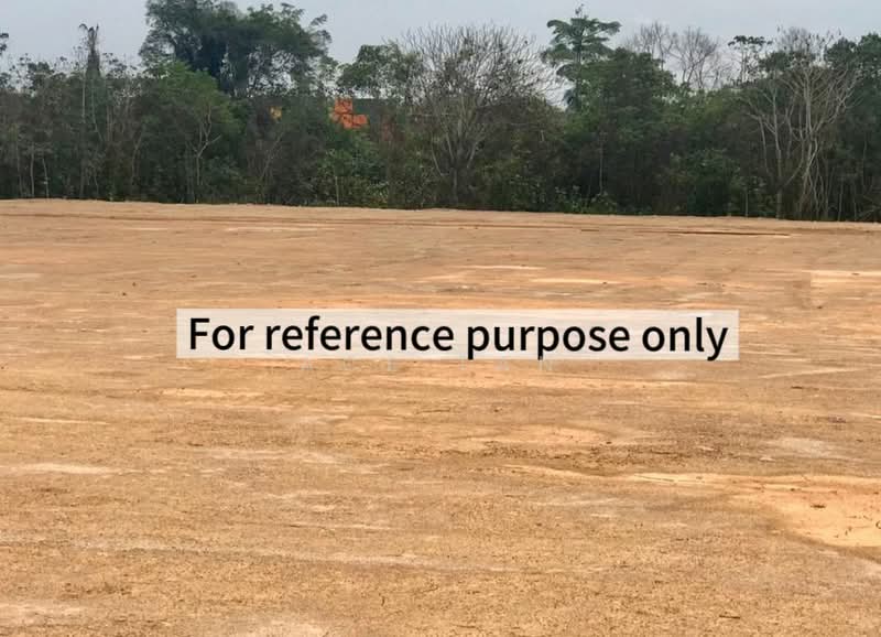 Industrial Land for Sale in Pelabuhan Tanjung Pelepas (Gelang Patah) - Ace Tan - PropertyGuru.com.my