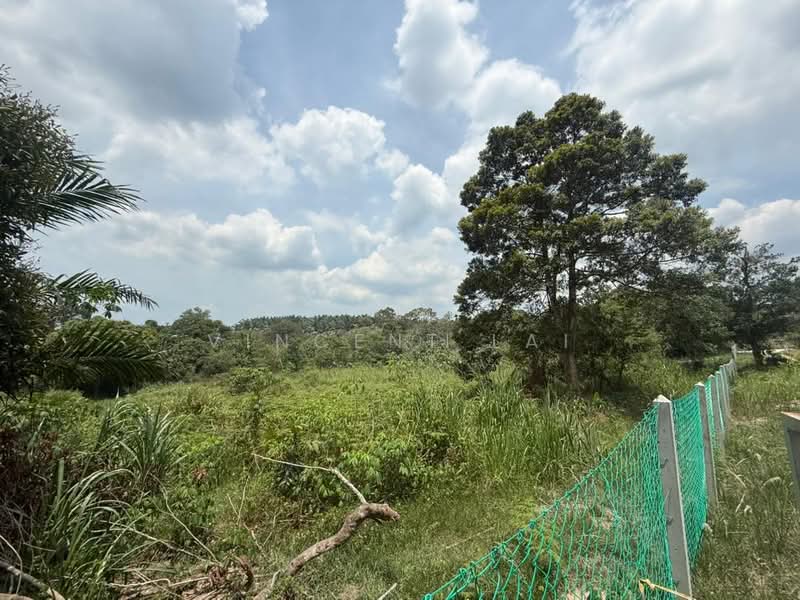 Agricultural Land for Sale in Sungai Tiram (Ulu Tiram) - Vincent Lai - PropertyGuru.com.my