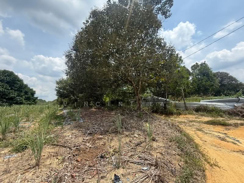Agricultural Land for Sale in Sungai Tiram (Ulu Tiram) - Vincent Lai - PropertyGuru.com.my