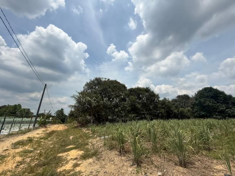 Agricultural Land for Sale in Sungai Tiram (Ulu Tiram) - Vincent Lai - PropertyGuru.com.my