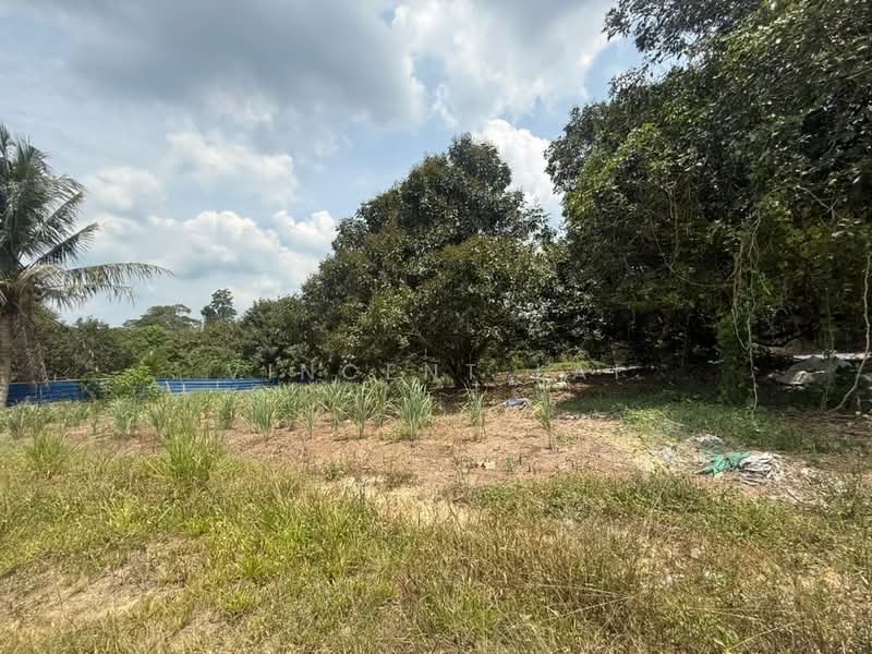 Agricultural Land for Sale in Sungai Tiram (Ulu Tiram) - Vincent Lai - PropertyGuru.com.my