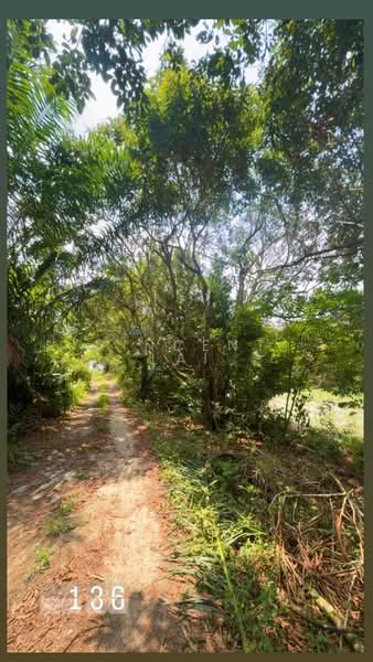 Agricultural Land for Sale in Sungai Tiram (Ulu Tiram) - Vincent Lai - PropertyGuru.com.my