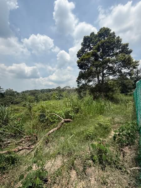 Agricultural Land for Sale in Sungai Tiram (Ulu Tiram) - Vincent Lai - PropertyGuru.com.my