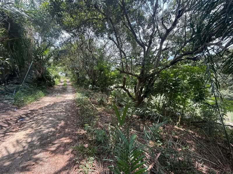 Agricultural Land for Sale in Sungai Tiram (Ulu Tiram) - Vincent Lai - PropertyGuru.com.my