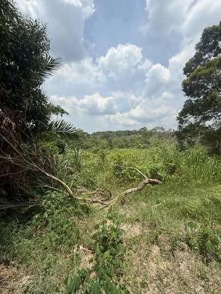 Agricultural Land for Sale in Sungai Tiram (Ulu Tiram) - Vincent Lai - PropertyGuru.com.my