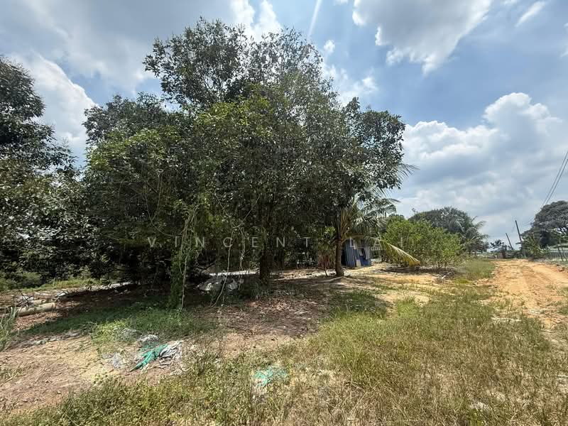 Agricultural Land for Sale in Sungai Tiram (Ulu Tiram) - Vincent Lai - PropertyGuru.com.my