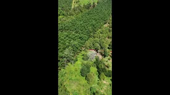 Tanah Pertanian untuk Dijual di Kuala Kangsar (Perak) - Gary Tang - PropertyGuru.com.my