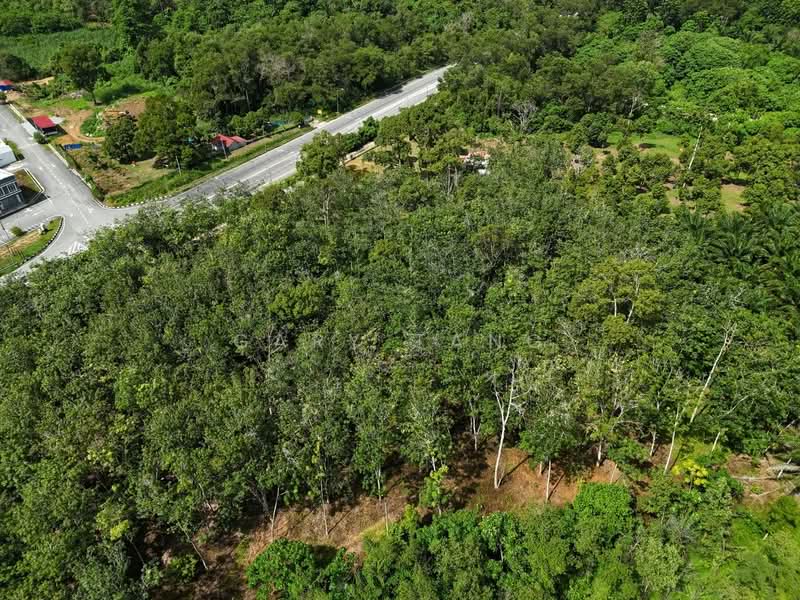 Tanah Pertanian untuk Dijual di Kuala Kangsar (Perak) - Gary Tang - Exterior - PropertyGuru.com.my