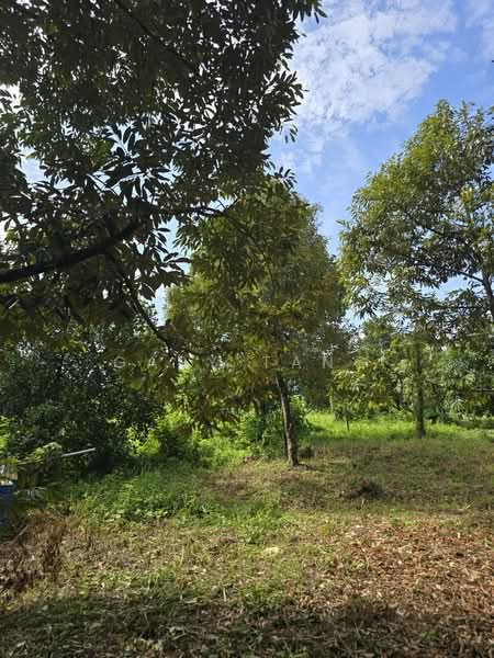 Tanah Pertanian untuk Dijual di Kuala Kangsar (Perak) - Gary Tang - Garden - PropertyGuru.com.my