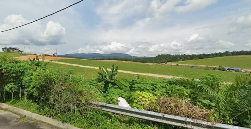 Agricultural Land for Sale in Pekan Nenas (Johor) - Lesley Siang - Exterior - PropertyGuru.com.my