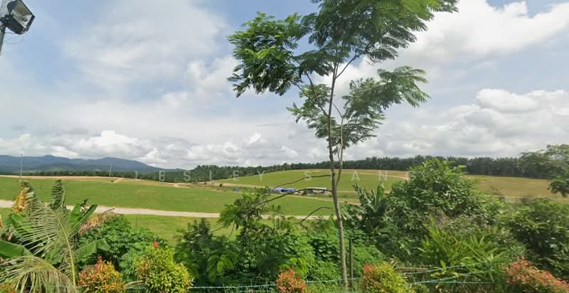 Agricultural Land for Sale in Pekan Nenas (Johor) - Lesley Siang - Exterior - PropertyGuru.com.my