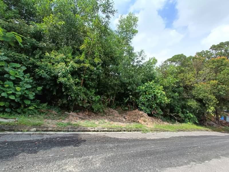 Residential Land for Sale in Ledang Heights (Iskandar Puteri (Nusajaya)) - Angel Tan - Exterior - PropertyGuru.com.my