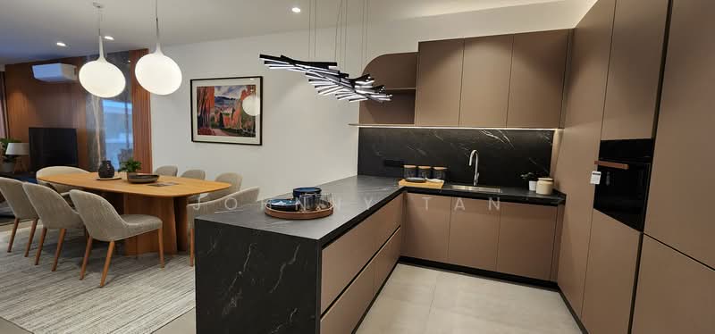 Townhouse for Sale in Kayu Ara (Selangor) - Johnny Tan - Kitchen - PropertyGuru.com.my