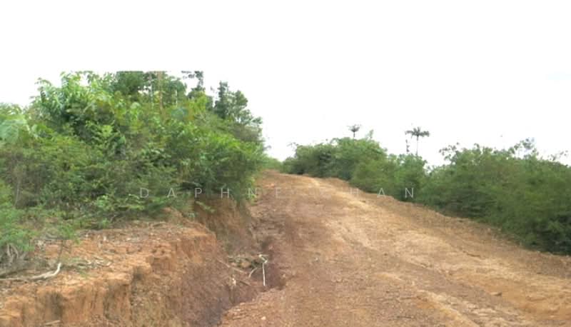 Agricultural Land for Sale in Keratong (Pahang) - Daphne Chan - Exterior - PropertyGuru.com.my