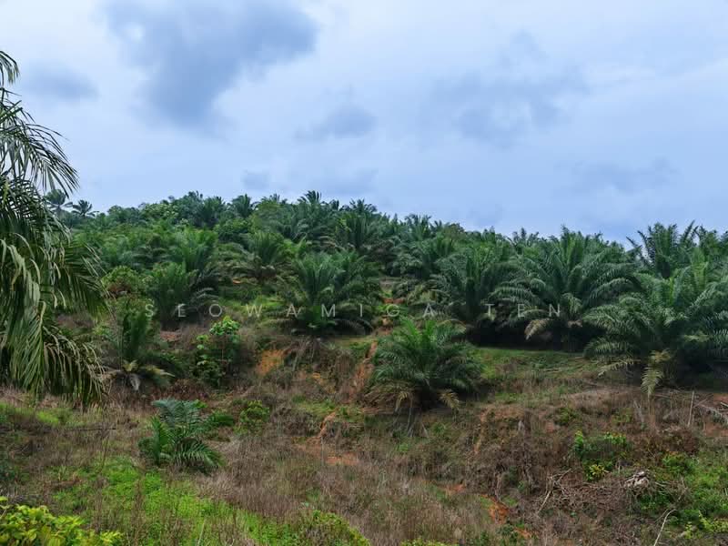 Tanah Pertanian untuk Dijual di Jemaluang (Mersing) - Seowamiga Ten - Exterior - PropertyGuru.com.my