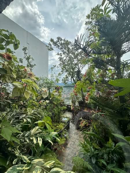 Service Residence for Sale at Urban 360 - Andrew Neoh - Garden - PropertyGuru.com.my