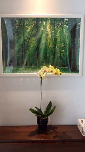 Service Residence for Rent at Quadro Residences - Braxton Lim - Interior - PropertyGuru.com.my