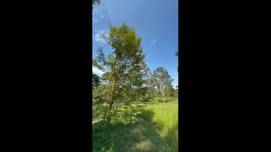 Agricultural Land for Sale in Gambang (Pahang) - Mohammad Azizi - PropertyGuru.com.my