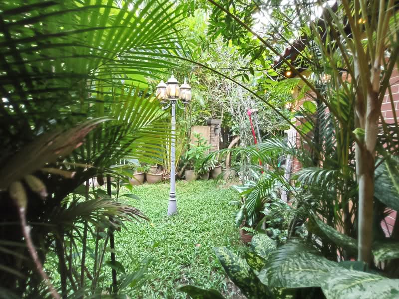 2-storey Terraced House for Sale in Usj 11 (Subang Jaya) - Joyce Kok - Garden - PropertyGuru.com.my