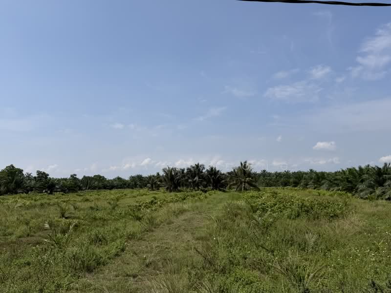Agricultural Land for Sale in Sitiawan (Perak) - Alexis Yeong - Exterior - PropertyGuru.com.my